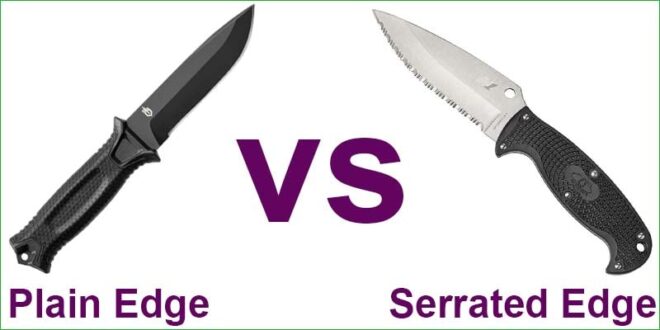 Plain Edge vs Serrated Edge Knife