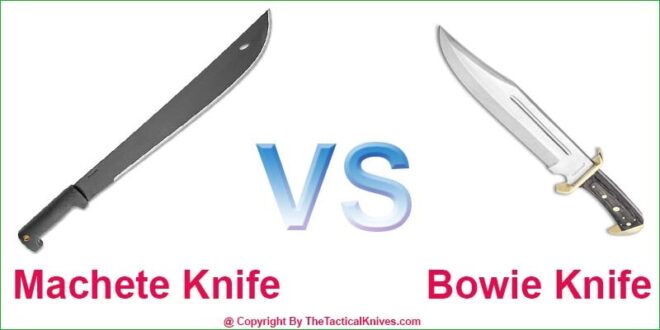 Machete vs Bowie Knife